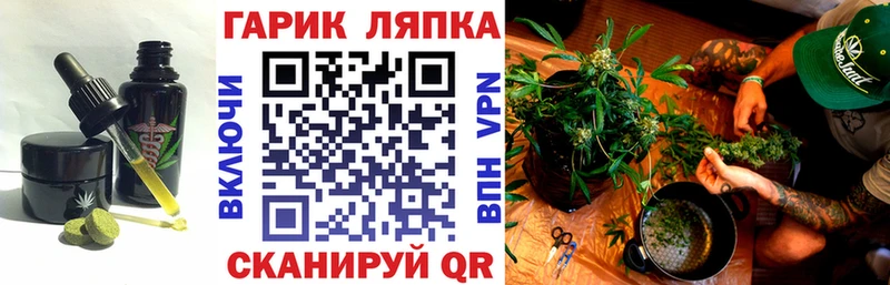 Cannafood конопля  Купить  Черняховск 